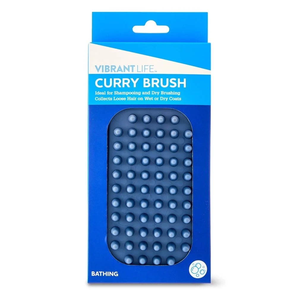 Single Sided TPR Dog Curry Brush Washing Shampooing Massaging Pet Grooming Tool with Ergonomic Design All Coat Types