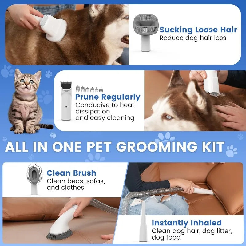 4000mAh Cordless Dog Grooming Kit, Dog Hair Vacuum with 4 Tools, 3L Dust Cup, 3 L