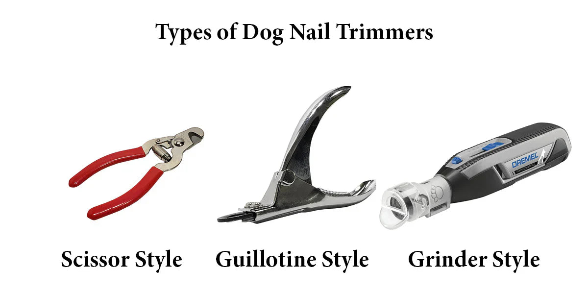 Nail Clippers/Sanders