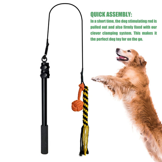 Interactive Dog Toys Extendable Flirt Pole for Small Large Dogs Chase Drag Chew Rope Toy Outdoor Training Exercise Entertainment