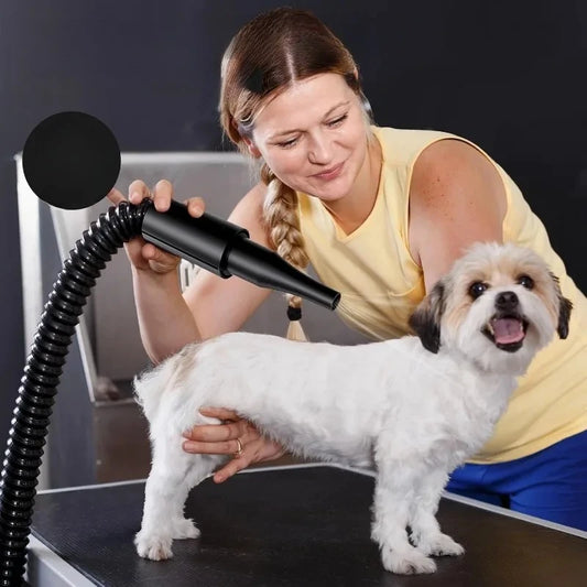 Tool Dog Dryer for Pet Grooming, High Velocity Air Forced Blow Dryer for Large Dogs,Noise Reduction Dryer Adjustable Speed Temp